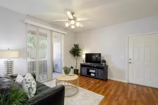 Photo #1: 221059954 Listing