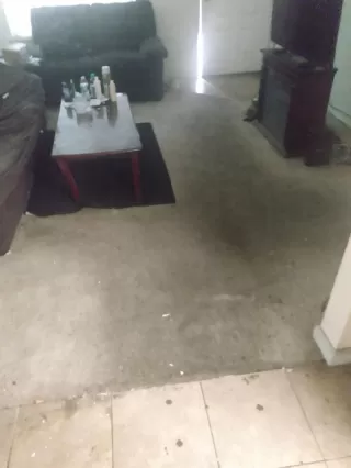 Photo #1: 221060419 Listing