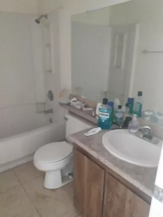 Photo #3: 221060419 Listing