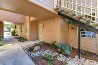 Photo #2: 221062919 Listing