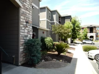 Photo #4: 221063001 Listing