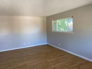 Photo #2: 221063228 Listing 