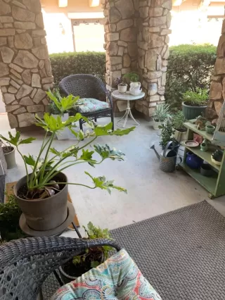 Photo #4: 221063321 Listing