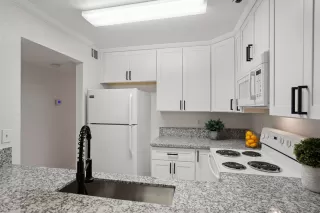 Photo #6: 221064454 Listing