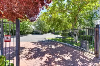 Photo #1: 221064966 Listing 