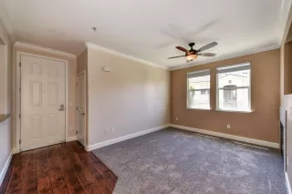 Photo #5: 221065498 Listing 