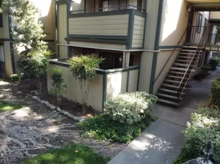 Photo #2: 221065584 Listing