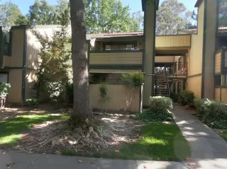 Photo #4: 221065584 Listing