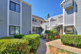 Photo #1: 221065819 Listing 