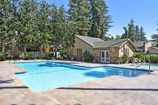 Photo #2: 221067446 Listing