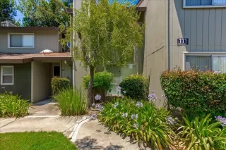 Photo #1: 221067599 Listing 