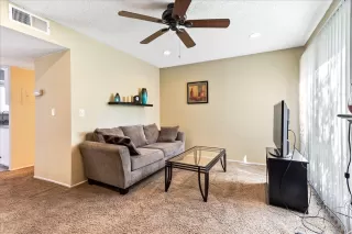 Photo #5: 221067599 Listing 