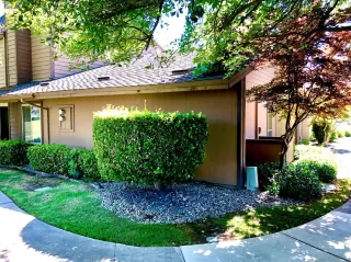 Photo #1: 221067666 Listing