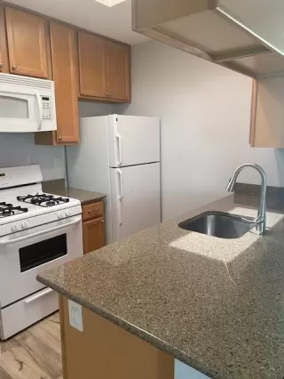 Photo #5: 221067869 Listing