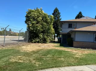 Photo #2: 221068133 Listing