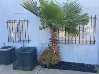 Photo #4: 221068133 Listing
