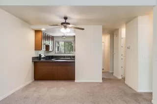 Photo #4: 221070747 Listing