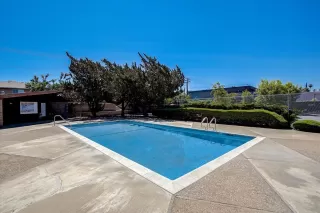 Photo #4: 221071252 Listing 