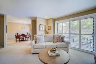 Photo #5: 221072488 Listing 