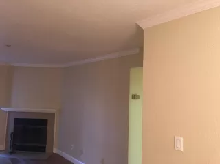 Photo #5: 221072753 Listing