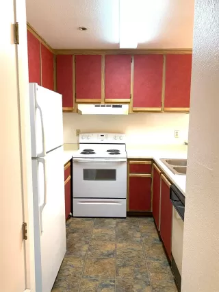 Photo #5: 221073684 Listing