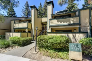 Photo #1: 221073929 Listing