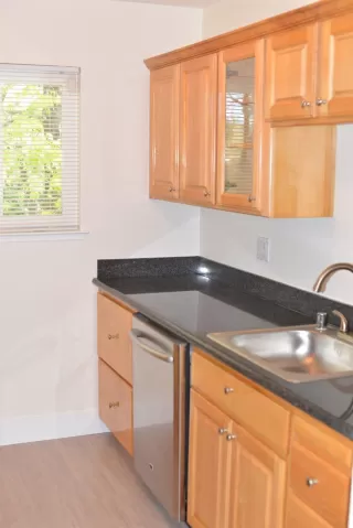 Photo #2: 221074027 Listing 