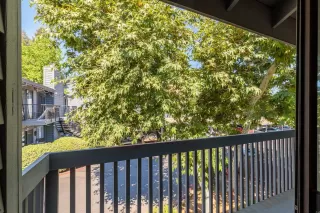 Photo #6: 221075694 Listing