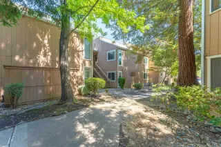 Photo #2: 221077049 Listing 