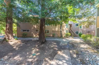 Photo #4: 221077049 Listing 