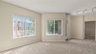 Photo #3: 221077744 Listing