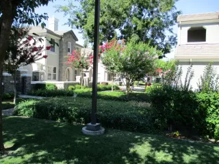 Photo #1: 221077800 Listing