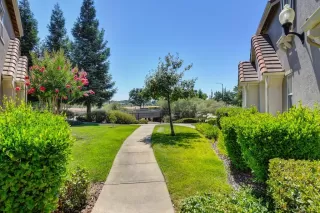 Photo #1: 221078647 Listing 