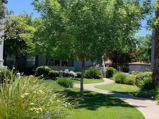 Photo #4: 221078926 Listing