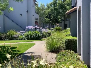 Photo #5: 221078926 Listing