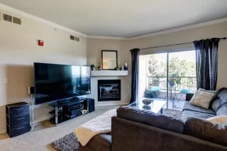 Photo #6: 221079058 Listing