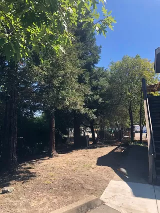 Photo #4: 221079531 Listing