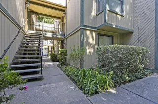 Photo #1: 221080864 Listing 