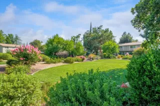 Photo #6: 221081770 Listing