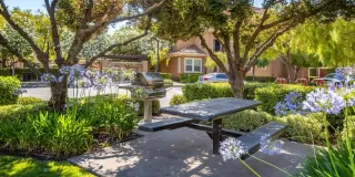 Photo #3: 221082115 Listing