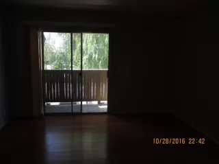 Photo #1: 221083808 Listing 