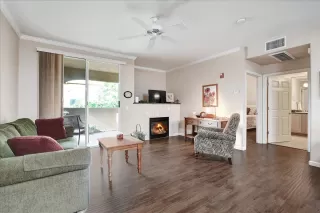 Photo #1: 221083840 Listing 