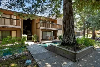 Photo #2: 221084312 Listing