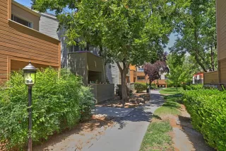 Photo #2: 221085328 Listing