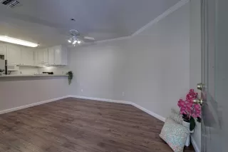 Photo #5: 221085328 Listing