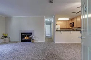 Photo #5: 221085422 Listing 