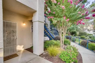 Photo #1: 221085676 Listing 