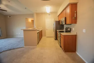 Photo #4: 221086479 Listing