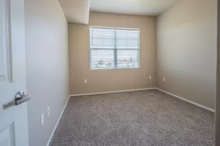 Photo #6: 221086479 Listing