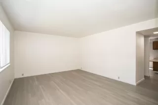 Photo #6: 221087008 Listing 